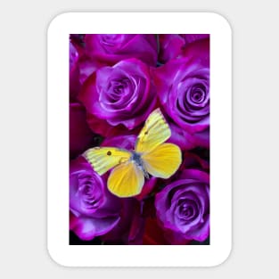 Yellow Butterfly Resting On Purple Red Roses Sticker